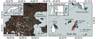 Remote Sensing Phenology of Antarctic Green and Red Snow Algae Using WorldView Satellites